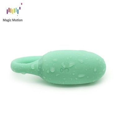 Смарт-тренажер Кегеля Magic Motion Kegel Rejuve, для тренировок и удовольствия SO3114 фото