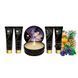 Подарунковий набір Shunga GEISHAS SECRETS &ndash; Exotic Fruits: для шикарної ночі вдвох SO7823 фото 2
